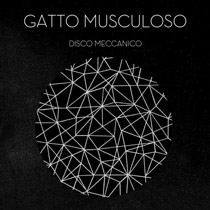 Gatto Musculoso