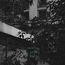 Ptaki - Kalina EP